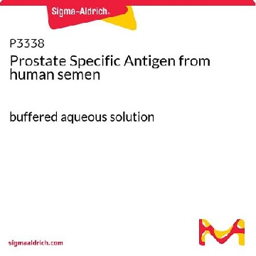 前列腺特异性抗原 来源于人类精液，25UG，P3338-25UG，Sigma
