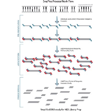 SeqPlex DNA扩增试剂盒，10REACTIONS，SEQXE-10RXN，Sigma