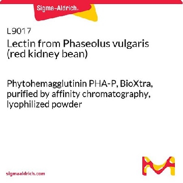 来自  菜豆的凝集素 （红芸豆），5MG，L9017-5MG，Sigma