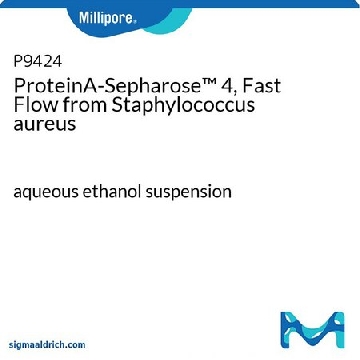 ProteinA-Sepharose™ 4, Fast Flow 来源于金黄色葡萄球菌，5ML，P9424-5ML，密理博