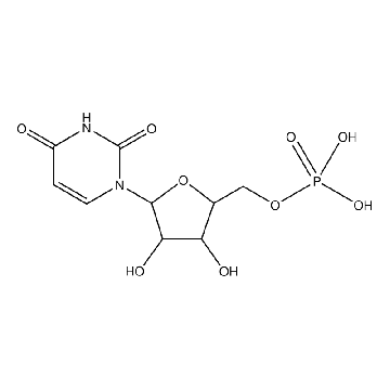 尿苷5-单磷酸，1G，U1752-1G，Sigma