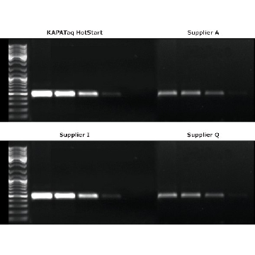 含染料的 KAPA Taq ReadyMix，6.25ML，KK1024，Roche