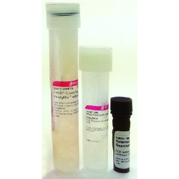 SYBR® Green JumpStart™ Taq ReadyMix™，100REACTIONS，S5193-100RXN，Sigma