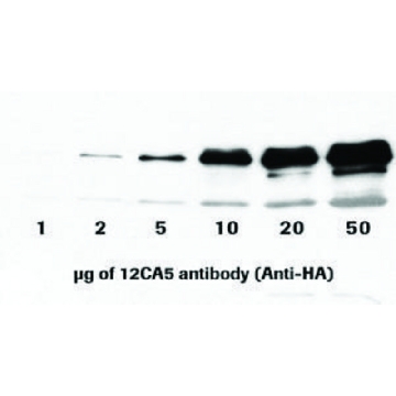 抗-HA（12CA5），200UG，11583816001，Roche