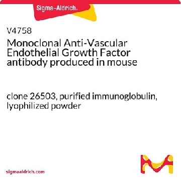 血管内皮生长因子单克隆抗体 小鼠抗，0.5MG，V4758-.5MG，Sigma