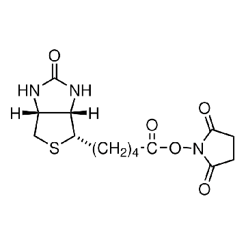 (+)-生物素N-羟基琥珀酰亚胺酯，5MG，H1759-5MG，Sigma