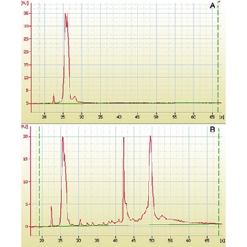 mirPremier® microRNA分离试剂盒，1KIT，SNC50-1KT，Sigma