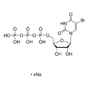 5-溴尿嘧啶核苷 5′-三磷酸盐 钠盐，5MG，B7166-5MG，Sigma