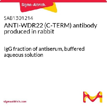 ANTI-WDR22 (C-TERM) antibody produced in rabbit，400UL，SAB1301214-400UL，Sigma
