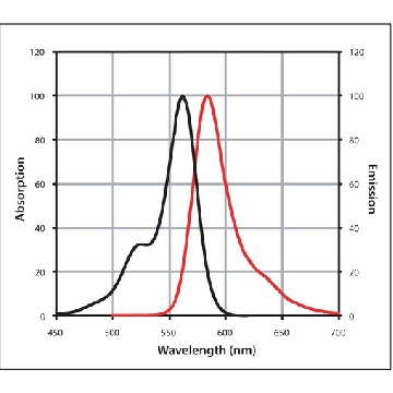 Anti-Goat IgG (H+L), highly cross-adsorbed, CF™ 568 antibody produced in donkey，250UL，SAB4600074-250UL，Sigma
