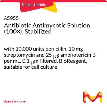 抗生素抗霉菌溶液（100×），稳定，20ML，A5955-20ML，Sigma