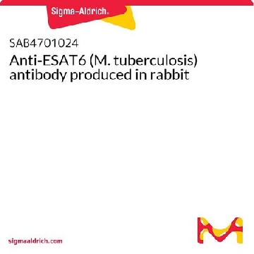 Anti-ESAT6 (M. tuberculosis) antibody produced in rabbit，100UG，SAB4701024-100UG，Sigma