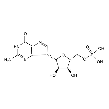 多聚鸟苷酸 钾盐，5MG，P4404-5MG，Sigma