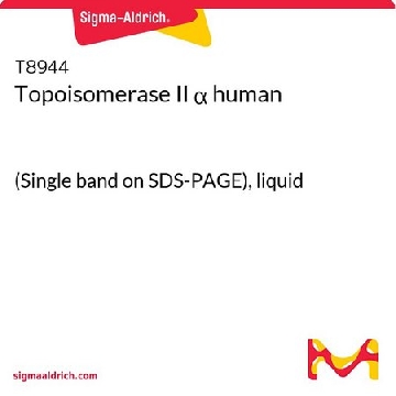 拓扑异构酶 Ⅱα 人，100UNITS，T8944-100UN，Sigma