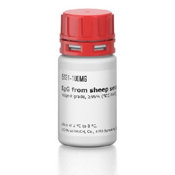 IgG 来源于绵羊血清，100MG，I5131-100MG，Sigma