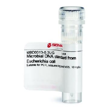 来自大肠杆菌的微生物 DNA 标准品，0.3UG，MBD0013-0.3UG，Sigma