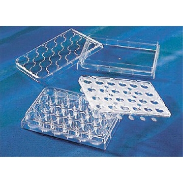 Corning® HTS Transwell®-24孔通透性嵌套，12EA，CLS3397-12EA，Sigma