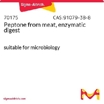 肉蛋白胨(酶消化)，100G，70175-100G，Sigma