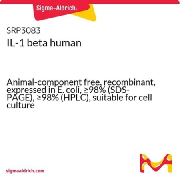 IL-1 beta 人，10UG，SRP3083-10UG，Sigma