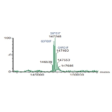 SILu™Lite SigmaMAb Rituximab Monoclonal Antibody，0.5MG，MSQC17-0.5MG，Sigma