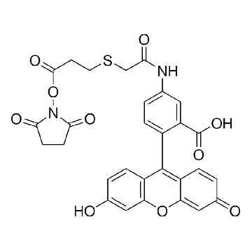 荧光素-5-EX N-羟基琥珀酰亚胺酯，10MG，F9551-10MG，Sigma
