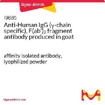 抗-人 IgG（γ-链特异性），F（ab′）₂ 片段 山羊抗，1MG，I9885-1MG，Sigma