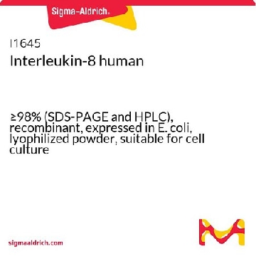 白细胞介素8 人，10UG，I1645-10UG，Sigma