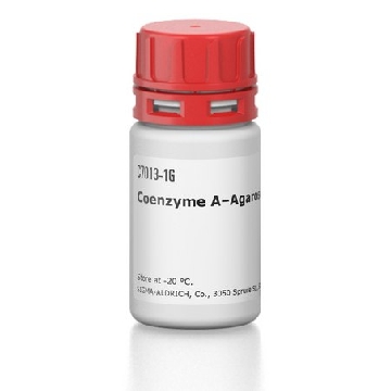 辅酶 A–琼脂糖，500MG，C7013-500MG，Sigma