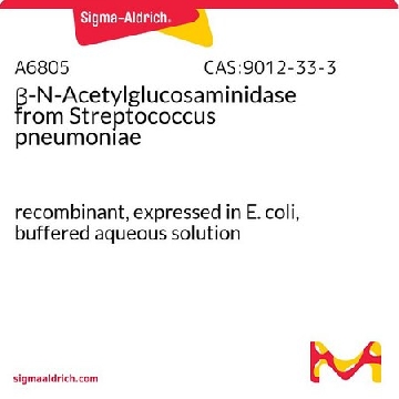 β-N-乙酰葡糖胺酶 来源于肺炎链球菌，1VIAL，A6805-1VL，Sigma