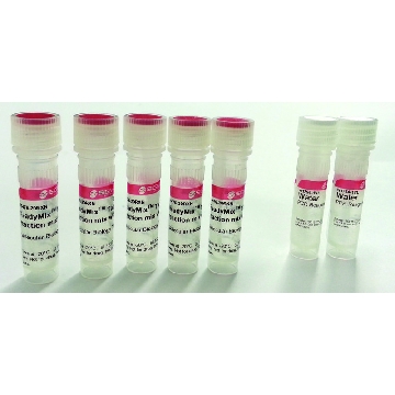 ReadyMix ™ Taq PCR 反应混合物，100REACTIONS，P4600-100RXN，Sigma