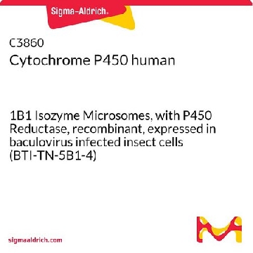 细胞色素P450 人，1VIAL，C3860-1VL，Sigma