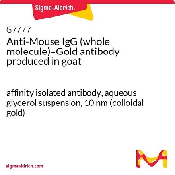 抗  小鼠 IgG（全分子）-金 山羊抗，0.4ML，G7777-.4ML，Sigma