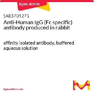 抗-人体 IgG（Fc 特异性） 兔抗，5MG，SAB3701275-5MG，Sigma