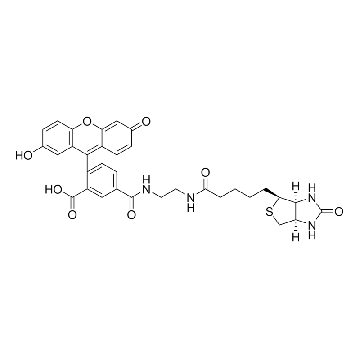 生物素-4-荧光素，5MG，B9431-5MG，Sigma