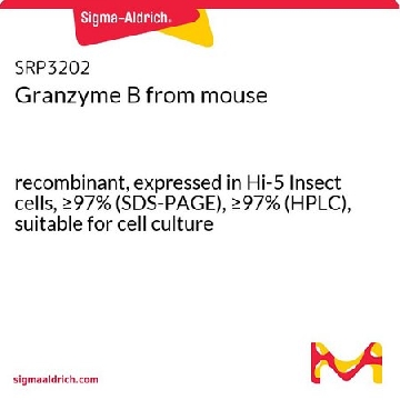 Granzyme B from mouse，10UG，SRP3202-10UG，Sigma