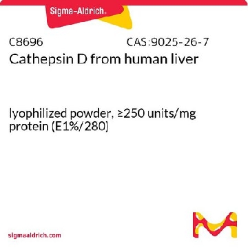 组织蛋白酶 D 来源于人类肝脏，25UG，C8696-25UG，Sigma