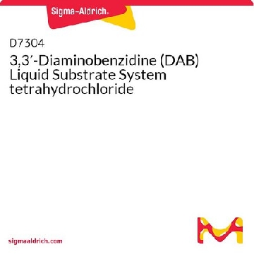 3,3′-二氨基联苯胺（DAB）液体底物系统 四盐酸盐，1SET，D7304-1SET，Sigma