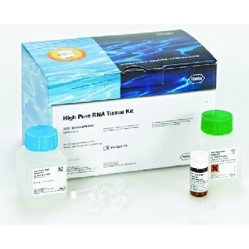 High Pure 组织RNA提取试剂盒，50ISOLATIONS，12033674001，Roche
