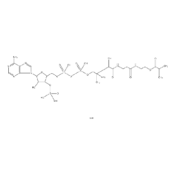异丁酰基辅酶 A 锂盐，5MG，I0383-5MG，Sigma
