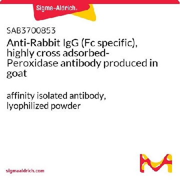 Anti-Rabbit IgG (Fc specific), highly cross adsorbed-Peroxidase antibody produced in goat，2MG，SAB3700853-2MG，Sigma