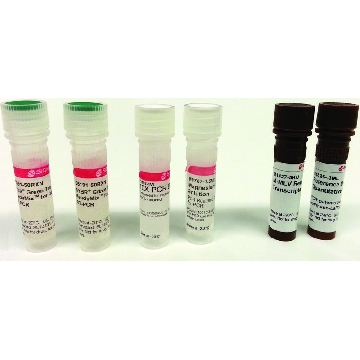 SYBR® Green 定量 RT-qPCR 试剂盒，1KIT，QR0100-1KT，Sigma