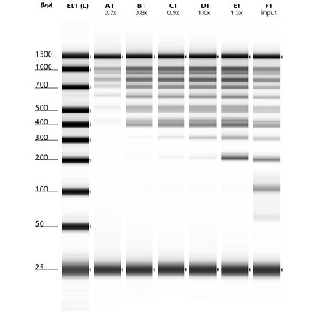 5R-PLEX beads，5ML，MBD6009-5ML，Sigma
