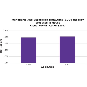Monoclonal Anti-Superoxide Dismutase (SOD) antibody produced in mouse，0.2ML，S2147-.2ML，Sigma