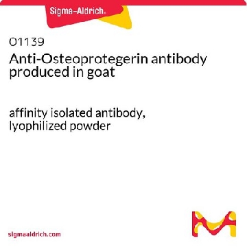 Anti-Osteoprotegerin antibody produced in goat，100UG，O1139-100UG，Sigma