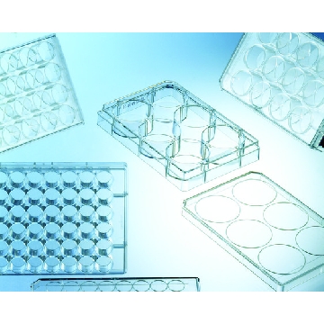Greiner CELLSTAR® multiwell culture plates，100EA，GN677102-100EA，Sigma