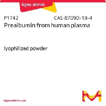前白蛋白 来源于人类血浆，1MG，P1742-1MG，Sigma