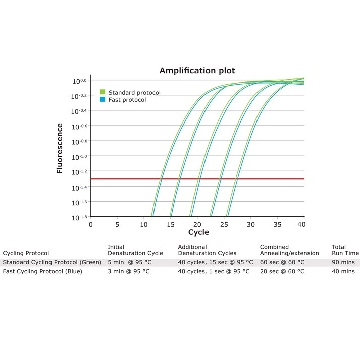 KAPA SYBR® FAST，1ML，KK4609，Roche