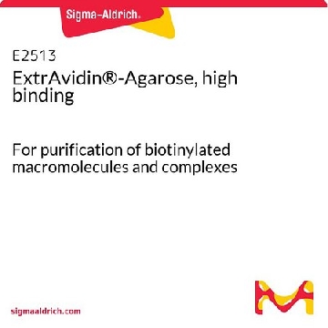 ExtrAvidin®-琼脂糖，高度结合，1ML，E2513-1ML，Sigma