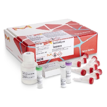 GenElute™-E Single Spin Blood DNA High Yield Kit，250REACTIONS，EC200-250RXN，Sigma