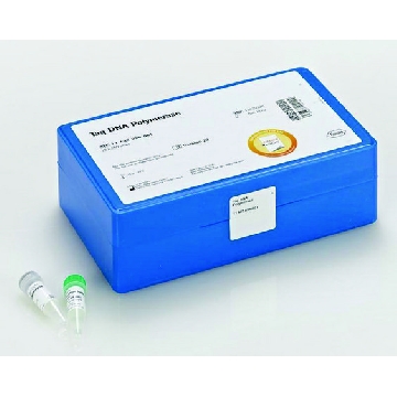 Taq DNA聚合酶，5 U/μl，200REACTIONS，11146165001，Roche